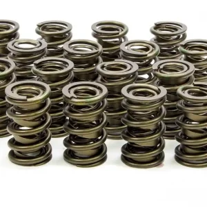 Isky Cams 1.534 Valve Springs9925 Exclusive